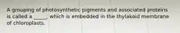 A grouping of photosynthetic pigments and associated proteins is called a _____, which is embedded in the thylakoid membrane of chloroplasts.