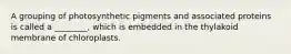 A grouping of photosynthetic pigments and associated proteins is called a ________, which is embedded in the thylakoid membrane of chloroplasts.