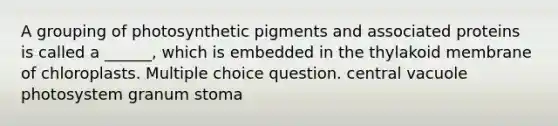 A grouping of photosynthetic pigments and associated proteins is called a ______, which is embedded in the thylakoid membrane of chloroplasts. Multiple choice question. central vacuole photosystem granum stoma