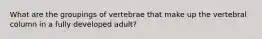 What are the groupings of vertebrae that make up the vertebral column in a fully developed adult?