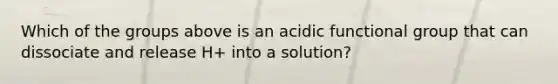 Which of the groups above is an acidic functional group that can dissociate and release H+ into a solution?