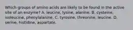 Which groups of amino acids are likely to be found in the active site of an enzyme? A. leucine, lysine, alanine. B. cysteine, isoleucine, phenylalanine. C. tyrosine, threonine, leucine. D. serine, histidine, aspartate.