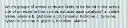 Which groups of amino acids are likely to be found in the active site of an enzyme that carries out acid-base catalysis? a. valine, lysine, alanine b. glutamic acid, tyrosine, histidine c. tyrosine, cysteine, leucine d. glycine, histidine, alanine