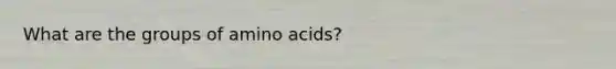 What are the groups of <a href='https://www.questionai.com/knowledge/k9gb720LCl-amino-acids' class='anchor-knowledge'>amino acids</a>?