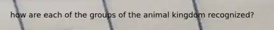 how are each of the groups of the animal kingdom recognized?