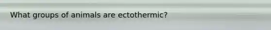 What groups of animals are ectothermic?