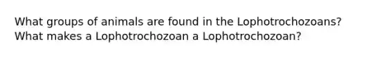 What groups of animals are found in the Lophotrochozoans? What makes a Lophotrochozoan a Lophotrochozoan?