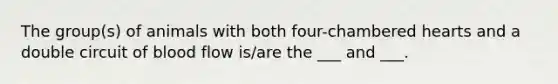 The group(s) of animals with both four-chambered hearts and a double circuit of blood flow is/are the ___ and ___.