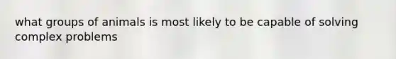 what groups of animals is most likely to be capable of solving complex problems