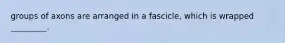 groups of axons are arranged in a fascicle, which is wrapped _________.