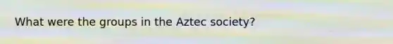 What were the groups in the Aztec society?