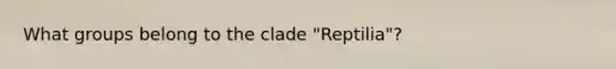 What groups belong to the clade "Reptilia"?