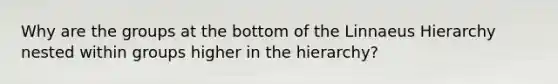 Why are the groups at the bottom of the Linnaeus Hierarchy nested within groups higher in the hierarchy?