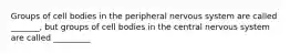 Groups of cell bodies in the peripheral nervous system are called _______, but groups of cell bodies in the central nervous system are called _________