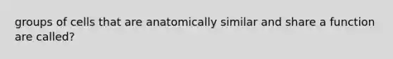 groups of cells that are anatomically similar and share a function are called?