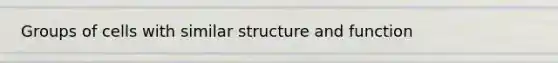 Groups of cells with similar structure and function