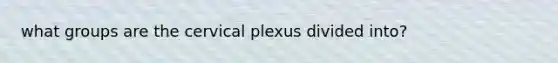 what groups are the cervical plexus divided into?