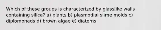 Which of these groups is characterized by glasslike walls containing silica? a) plants b) plasmodial <a href='https://www.questionai.com/knowledge/kHvmUbfxIK-slime-molds' class='anchor-knowledge'>slime molds</a> c) diplomonads d) brown algae e) diatoms