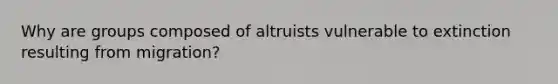 Why are groups composed of altruists vulnerable to extinction resulting from migration?