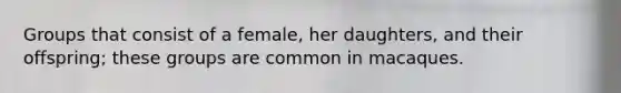 Groups that consist of a female, her daughters, and their offspring; these groups are common in macaques.