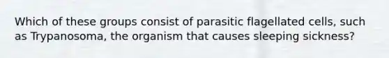 Which of these groups consist of parasitic flagellated cells, such as Trypanosoma, the organism that causes sleeping sickness?