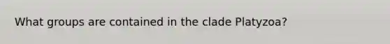 What groups are contained in the clade Platyzoa?