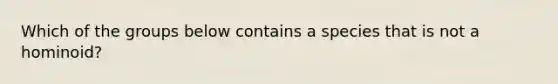 Which of the groups below contains a species that is not a hominoid?