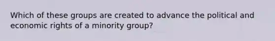 Which of these groups are created to advance the political and economic rights of a minority group?