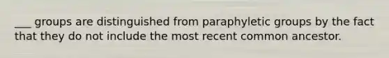 ___ groups are distinguished from paraphyletic groups by the fact that they do not include the most recent common ancestor.