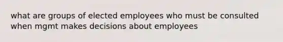 what are groups of elected employees who must be consulted when mgmt makes decisions about employees