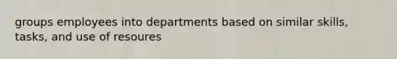 groups employees into departments based on similar skills, tasks, and use of resoures