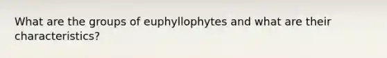 What are the groups of euphyllophytes and what are their characteristics?