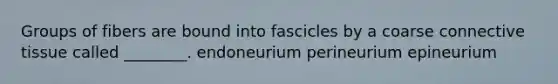 Groups of fibers are bound into fascicles by a coarse connective tissue called ________. endoneurium perineurium epineurium