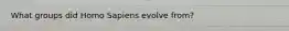 What groups did Homo Sapiens evolve from?