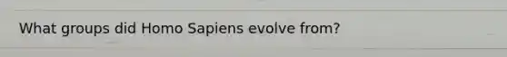 What groups did Homo Sapiens evolve from?