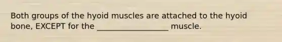 Both groups of the hyoid muscles are attached to the hyoid bone, EXCEPT for the __________________ muscle.