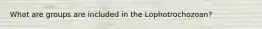 What are groups are included in the Lophotrochozoan?