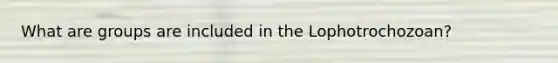 What are groups are included in the Lophotrochozoan?