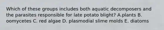 Which of these groups includes both aquatic decomposers and the parasites responsible for late potato blight? A.plants B. oomycetes C. red algae D. plasmodial <a href='https://www.questionai.com/knowledge/kHvmUbfxIK-slime-molds' class='anchor-knowledge'>slime molds</a> E. diatoms