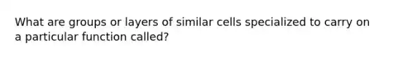 What are groups or layers of similar cells specialized to carry on a particular function called?