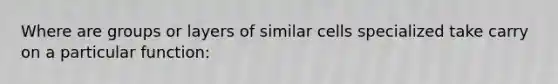 Where are groups or layers of similar cells specialized take carry on a particular function: