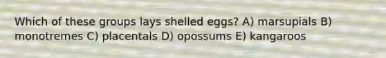 Which of these groups lays shelled eggs? A) marsupials B) monotremes C) placentals D) opossums E) kangaroos