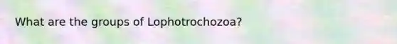 What are the groups of Lophotrochozoa?