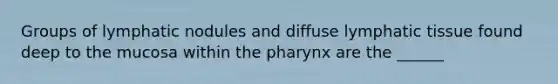 Groups of lymphatic nodules and diffuse lymphatic tissue found deep to the mucosa within the pharynx are the ______