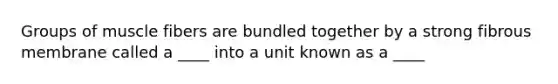 Groups of muscle fibers are bundled together by a strong fibrous membrane called a ____ into a unit known as a ____