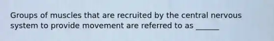 Groups of muscles that are recruited by the central nervous system to provide movement are referred to as ______