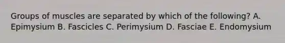 Groups of muscles are separated by which of the following? A. Epimysium B. Fascicles C. Perimysium D. Fasciae E. Endomysium