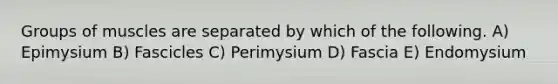 Groups of muscles are separated by which of the following. A) Epimysium B) Fascicles C) Perimysium D) Fascia E) Endomysium