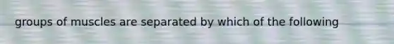 groups of muscles are separated by which of the following