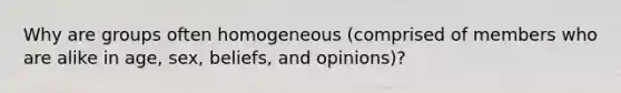 Why are groups often homogeneous (comprised of members who are alike in age, sex, beliefs, and opinions)?